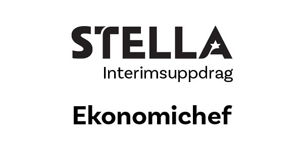 Ekonomichef Interim